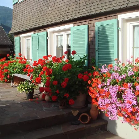 Appartement Sutterluety Bezau